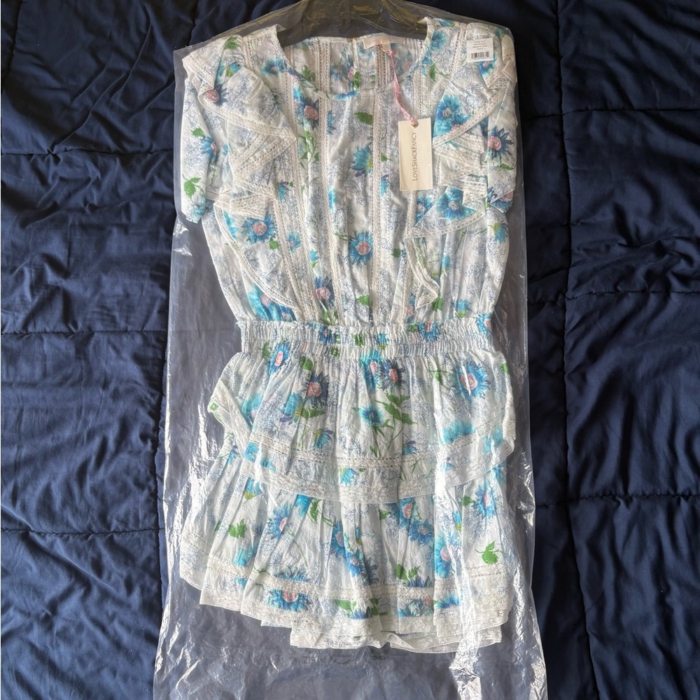 Floral Blue and White Dress